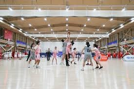 肉鸽新游《风水喵将》定价24.99元，2月4日上线Steam